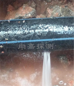 邦溪镇消防管道漏点探测